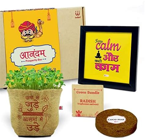 Indigifts Diwali Gift Hamper Jute Planter, Motivational Quote Printed ...