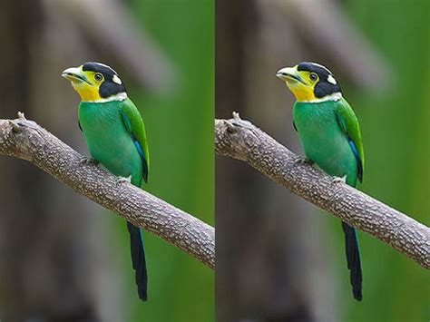 Image File Format 的图像结果