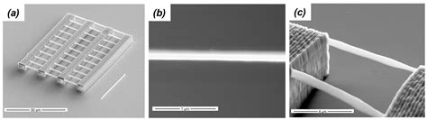 Two-Photon Polymerization Metrology: Characterization Methods of ...