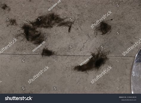 Human Hairs On Floor After Haircuthair Stock Photo 2196414639 ...