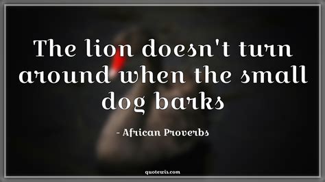 The lion doesn't turn around when the small dog barks - quotewis.com