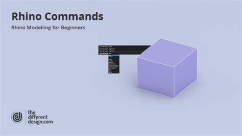 Image result for Using a Rhino