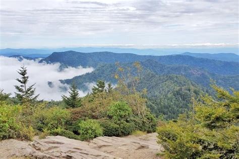 Mount LeConte hike ⛰ What is the best trail to get to Mt LeConte summit ...