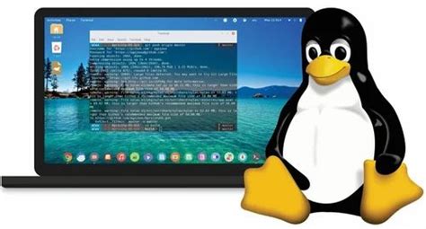 Linux OS Software Stack 的图像结果