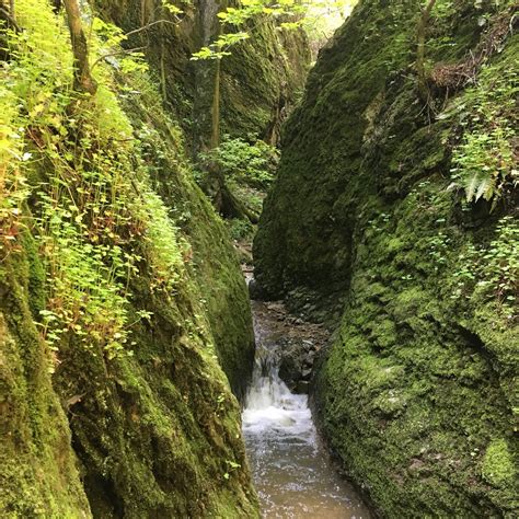 Rustavi Tourism: All You Need to Know Before You Go (2025)