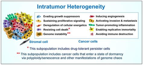 Intratumor Heterogeneity and Treatment Resistance of Solid Tumors with ...