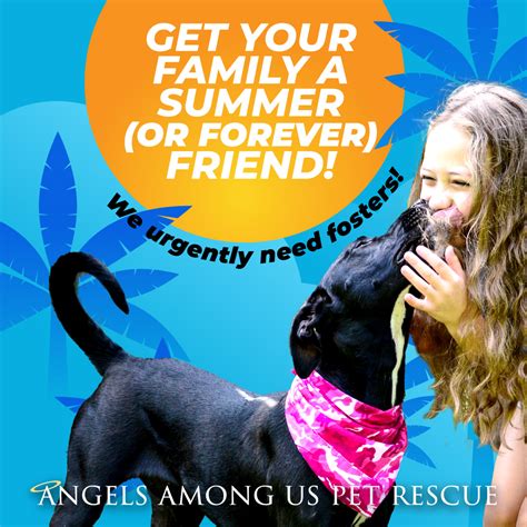 Fun Foster Summer – Angels Among Us Pet Rescue, Inc