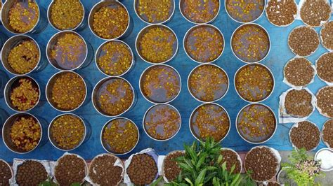 Sun-Dried Homemade Pickles: Process & Benefits