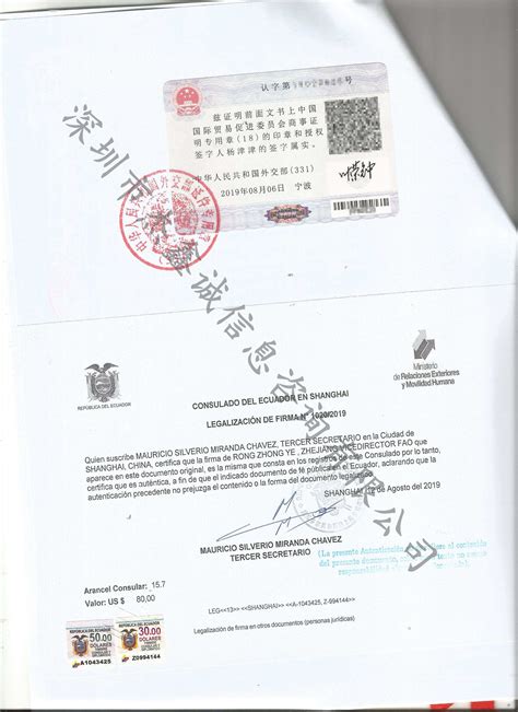 授权证明的厄瓜多尔的使馆加签
