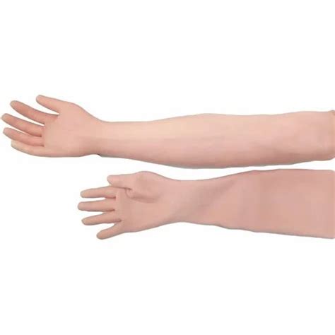 Image result for IV Training Arm Model