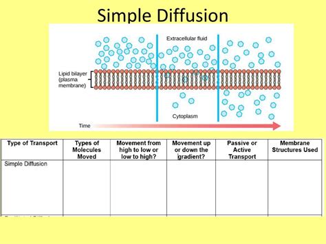 Simple Diffusion Examples 的图像结果