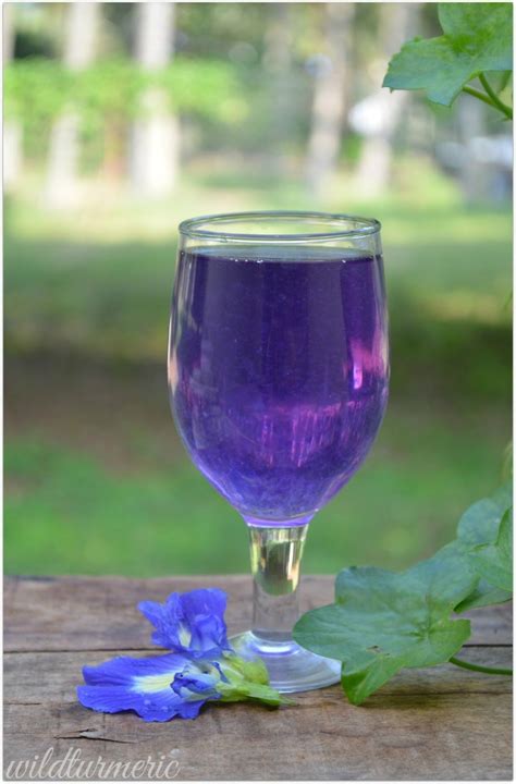 Butterfly Pea Flower Tea Benefits That Will Surprise You – MSKGCN