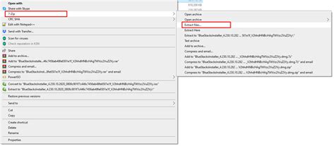Open DMG File 的图像结果