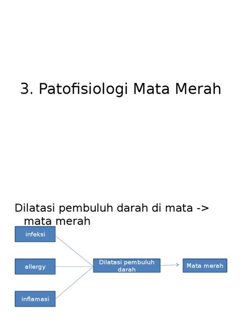 Image result for Implementation Coding Step of SDLC