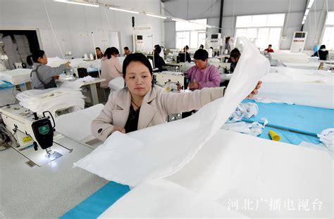 邯郸：“乡村微工厂”点亮留守妇女居家就业梦