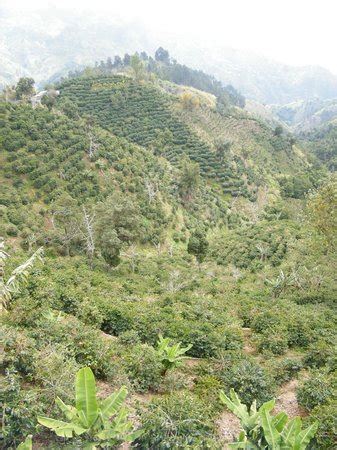 Jamaica Tour Society - Private Day Tour (Montego Bay) - 2022 What to ...