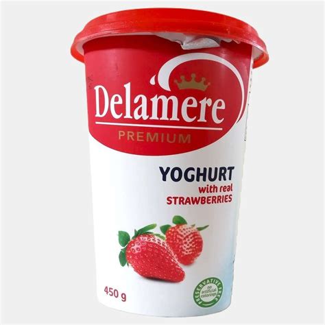 DELAMERE YOGHURT 450GM