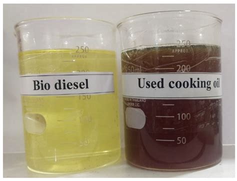 What Is Biodiesel