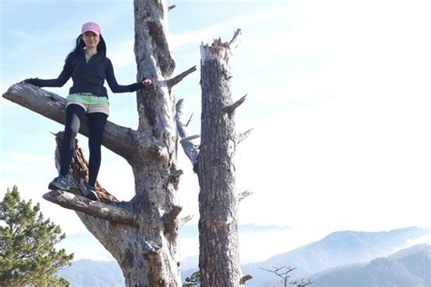 A Memorable Hike in Benguet 🇵🇭 | Trip.com Itogon