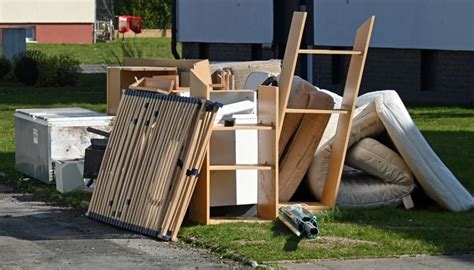 Waste Collection 的图像结果