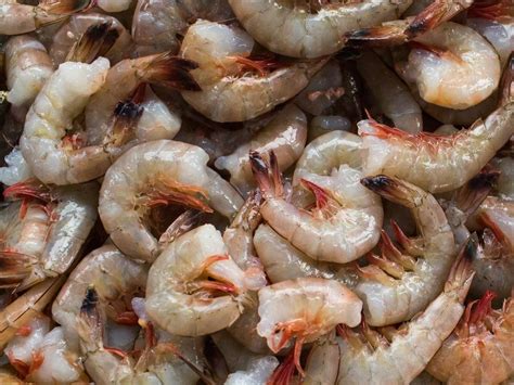 Image result for Shrimp Shell