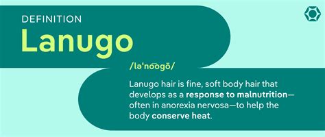 Lanugo and Anorexia: What Fine Hair Growth Means for Health