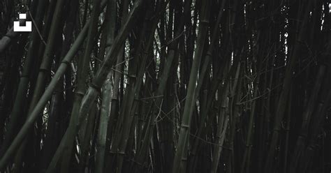 Image result for Negative String Slicing in Python