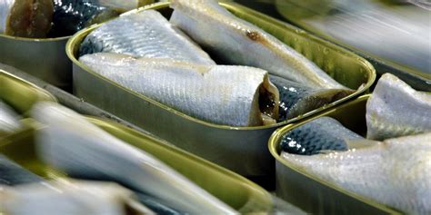 Before lobster, Maine had a thriving sardine industry. A sunken ship ...