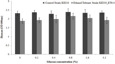 Enhanced ethanol tolerance in Lysinibacillus sp.