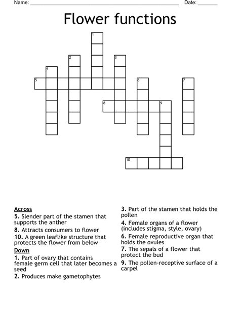 Female Flower Parts Crossword Clue | Best Flower Site