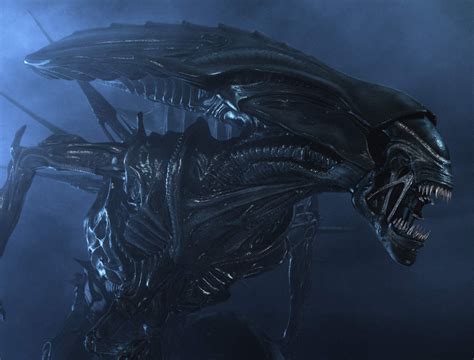 Image result for Alien Xenomorph Teeth