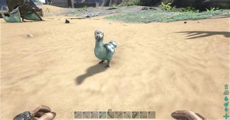 Ark Guide 的图像结果