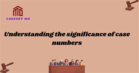 Case Identifier Example 的图像结果