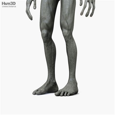 Image result for Alien 2024 Humanoide