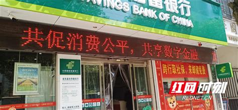 郴州银行系统开展“3.15”金融消费者权益保护教育宣传活动_腾讯新闻