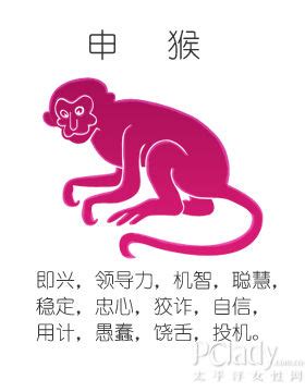 92年属猴为什么说金命水猴-1992年猴是金还是水 - 见闻坊