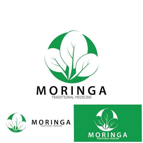 Moringa leaf tradicional medicine icon vector illustration template ...