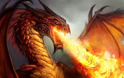 Fire breathing Dragon wallpaper | 1920x1200 | #10444