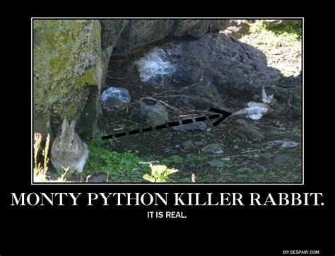 Image result for Monty Python Little Rabbit