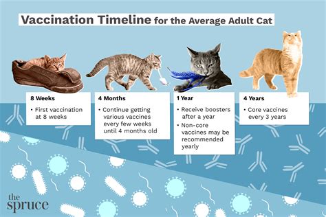 Do Dogs Need Yearly Vaccines