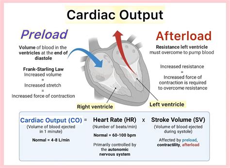 The Medical Mind on Instagram: "Cardiac output ,preload Afterload ...
