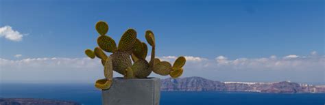 AREADNE 2020 Research in Encoding And Decoding of Neural Ensembles