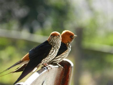 Beginner Photography Camera 的图像结果