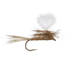 Rezultat imagine pentru Lightning Bug Fly Pattern