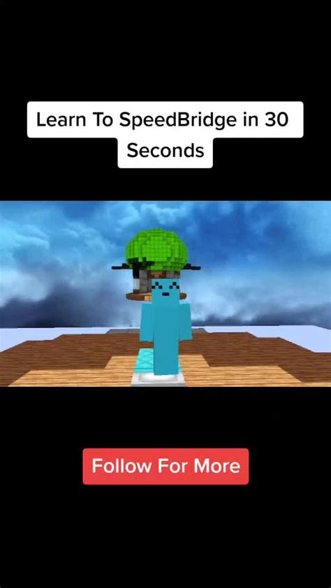 Image result for Minecraft Java SpeedBridge Server