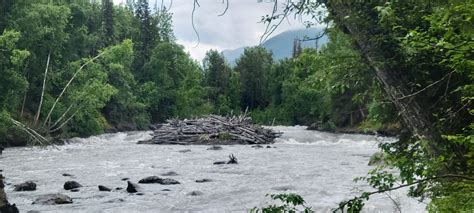 Eagle River Campground - Chugach State Park - RV Campground in Eagle ...