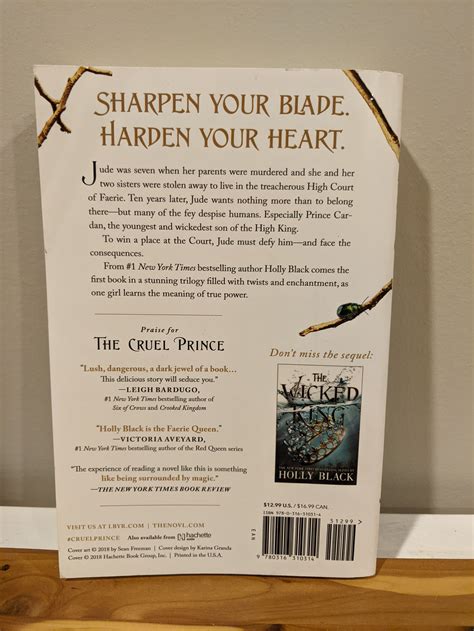 Spoiler-Free Book Review: The Cruel Prince by Holy Black — A.M. Kelly