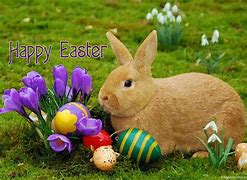Image result for Cute Easter Photography
