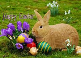Image result for Beautiful Easter Photography
