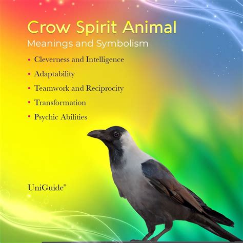 Crow Power Animal and Symbolism